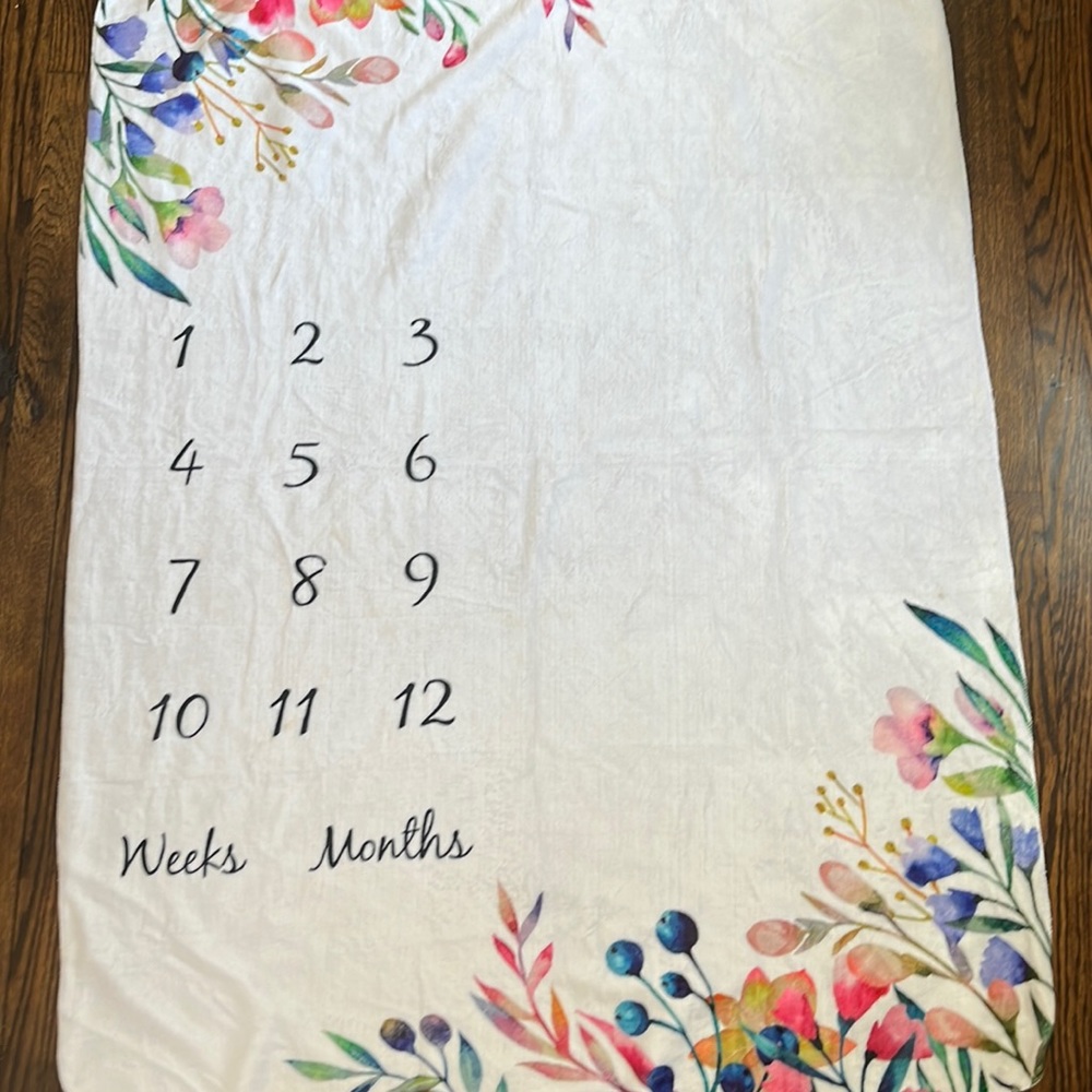 Monthly Milestone Baby Blanket